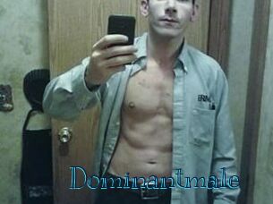 Dominantmale