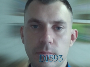 D1593