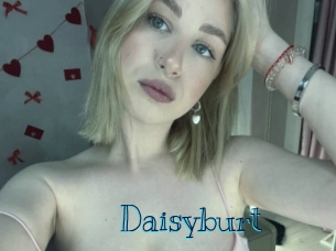 Daisyburt