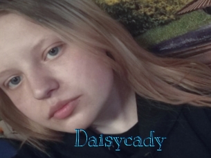 Daisycady