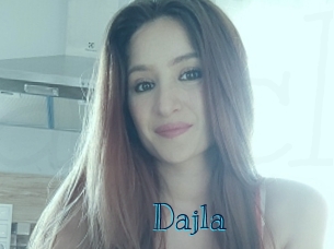 dajla Archive DVD BIZ