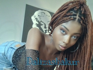 dalizashakur Archive DVD BIZ
