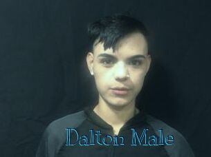 Dalton_Male
