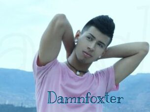 Damnfoxter