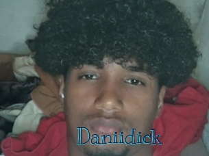 daniidick Archive DVD BIZ
