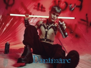 danimarc Archive DVD BIZ