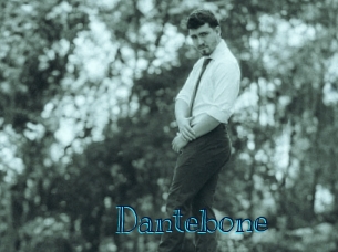 dantebone Archive DVD BIZ