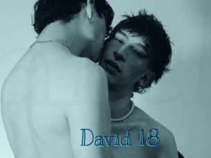 david_18 Archive DVD BIZ