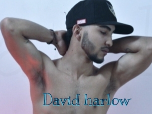 david_harlow Archive DVD BIZ