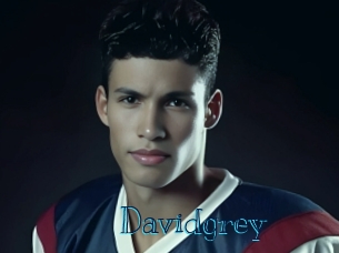 davidgrey Archive DVD BIZ