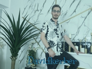 davidkerber Archive DVD BIZ