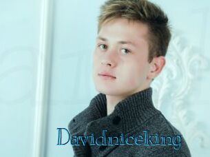 Davidniceking