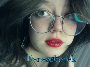 denesebozek Archive DVD BIZ
