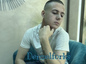denzelforks Archive DVD BIZ