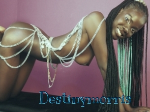 destinymorris Archive DVD BIZ