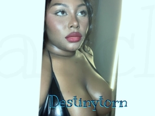 destinytorn Archive DVD BIZ