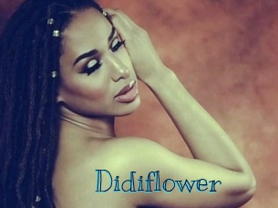 Didiflower