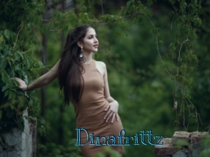 Dinafrittz