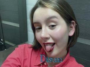 disun Archive DVD BIZ