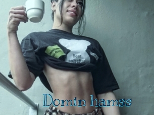 Domin_hamss