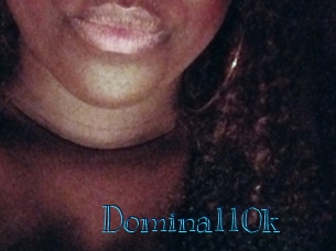 Domina110k
