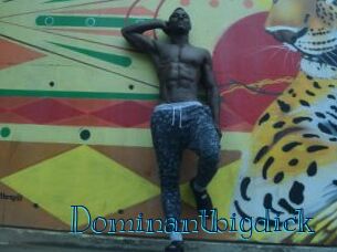 Dominantbigdick