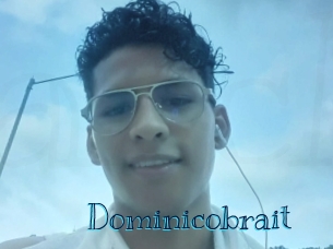 dominicobrait Archive DVD BIZ