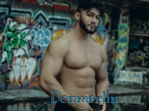 Donmerlin