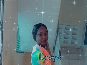 dosyx Archive DVD BIZ