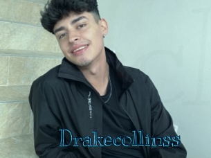 drakecollinss Archive DVD BIZ