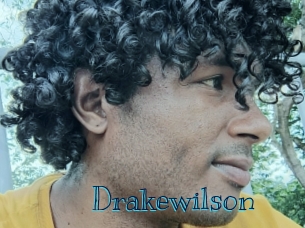 drakewilson Archive DVD BIZ