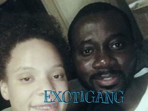 EXOTIGANG