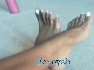 Ecnoyeb Archive DVD BIZ