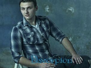 Elscorpion