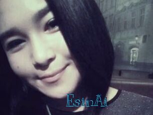 EsinAi
