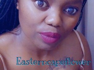 Easterncapeflower