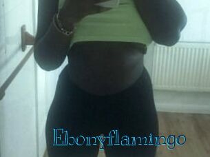 Ebony_flamingo