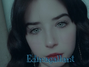 edinagallant Archive DVD BIZ