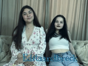 editaandbreck Archive DVD BIZ