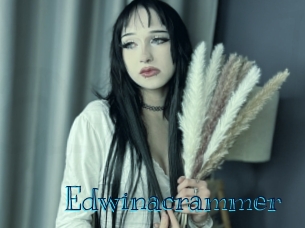 edwinacrammer Archive DVD BIZ