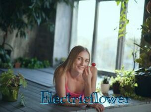 Electricflower