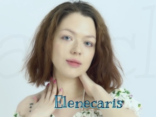 elenecaris Archive DVD BIZ