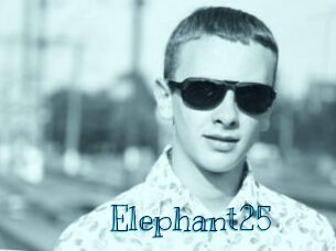 Elephant25