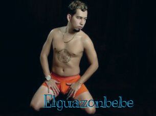 Elguazonbebe