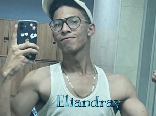 eliandray Archive DVD BIZ