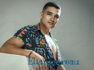 elianmoreau Archive DVD BIZ