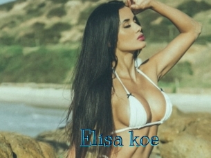 Elisa_koe