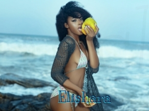 elishara Archive DVD BIZ