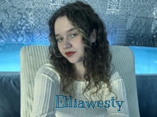 elliawesty Archive DVD BIZ