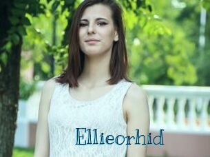 Ellieorhid